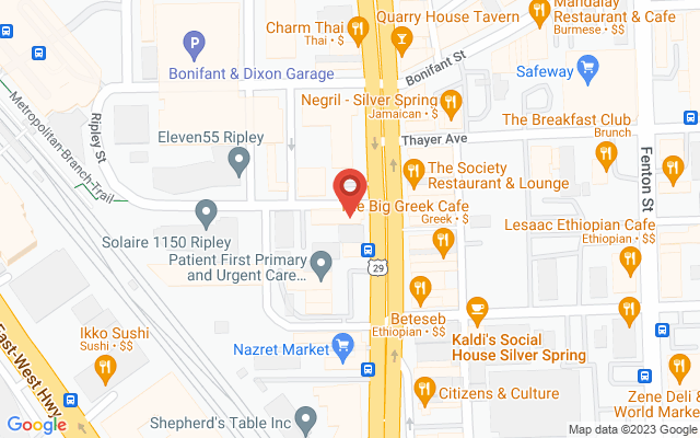 Google map image